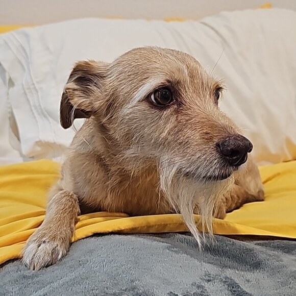 Coffee With Kelley Is Live! Like This To Be Notified When I Go On. - Picture 11 of 15